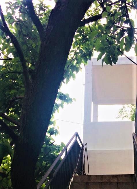 Guesthouse Berlin バール エクステリア 写真